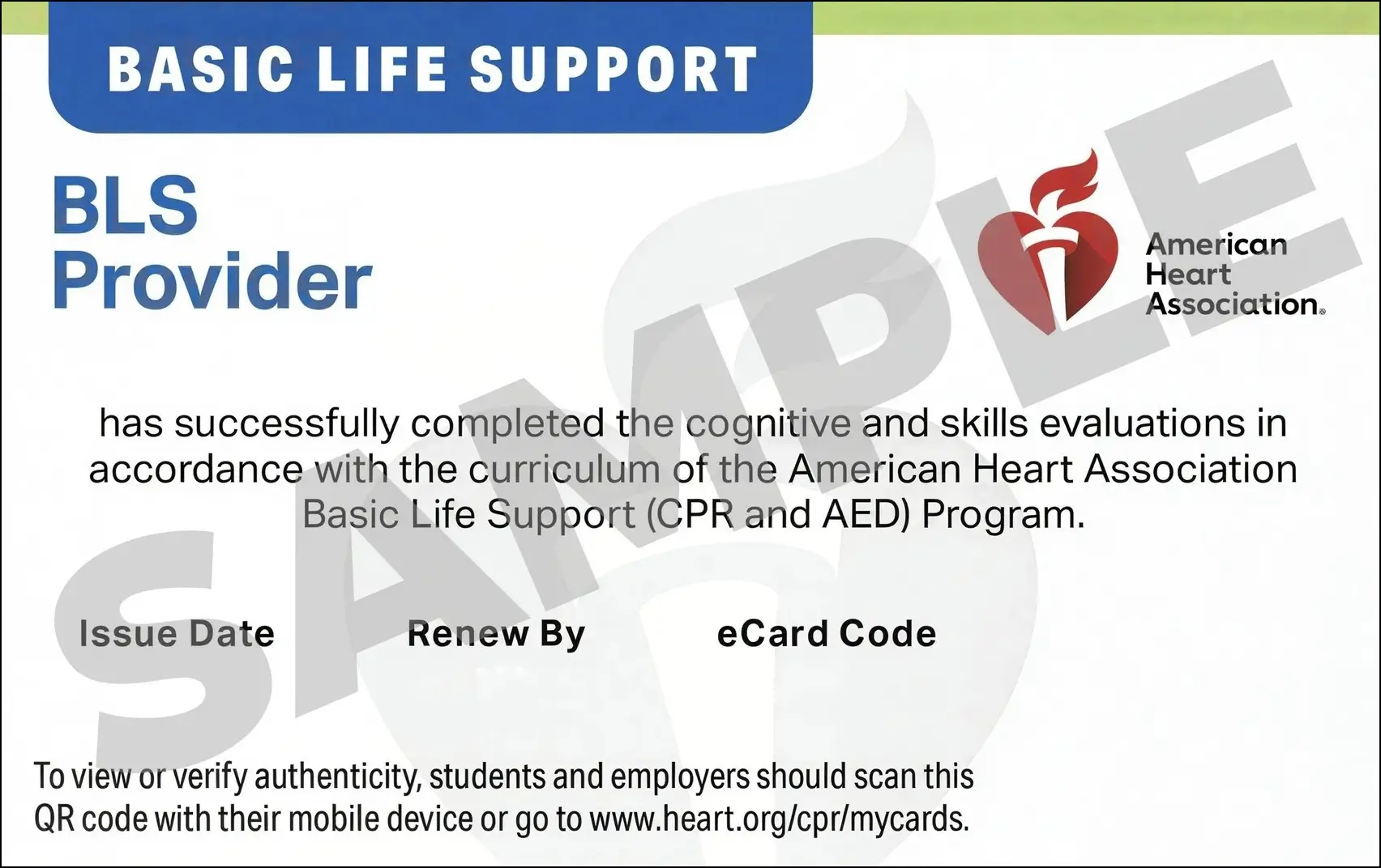 Sample American Heart Association AHA BLS CPR Card Certification from CPR Certification Fort Worth